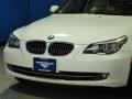 Alpine White - 5 Series 528xi Sedan Photo No. 3
