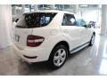 Arctic White - ML 350 4Matic Photo No. 6