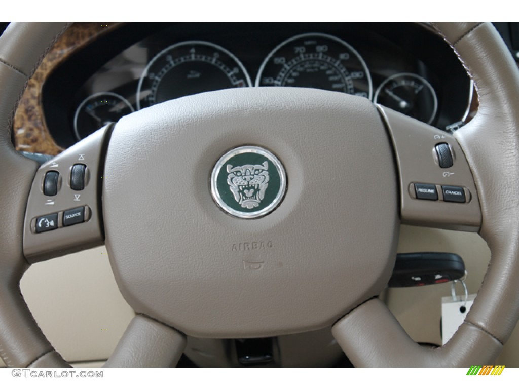 2004 Jaguar X-Type 2.5 Barley Steering Wheel Photo #68039975