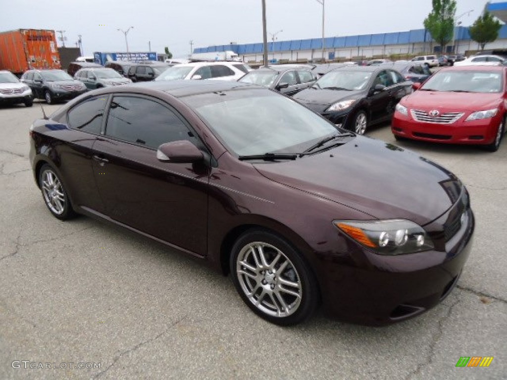 2008 tC  - Black Cherry Pearl / Dark Charcoal Gray photo #6