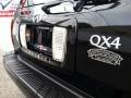 2002 Black Obsidian Infiniti QX4 4x4  photo #13