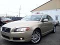 Shimmer Gold Metallic - S80 3.2 Photo No. 3