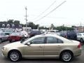 Shimmer Gold Metallic - S80 3.2 Photo No. 4