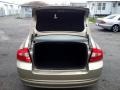 Shimmer Gold Metallic - S80 3.2 Photo No. 10