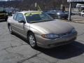 Sandrift Metallic - Monte Carlo LS Photo No. 8