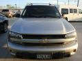 Silverstone Metallic - TrailBlazer LS Photo No. 2