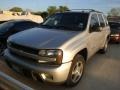 Silverstone Metallic - TrailBlazer LS Photo No. 3