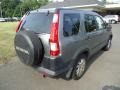 Satin Silver Metallic - CR-V EX 4WD Photo No. 5