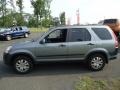 Satin Silver Metallic - CR-V EX 4WD Photo No. 8