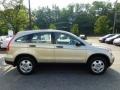 Borrego Beige Metallic - CR-V LX Photo No. 6