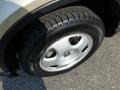 Borrego Beige Metallic - CR-V LX Photo No. 9