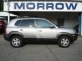 Platinum Silver - Tucson SE 4WD Photo No. 1