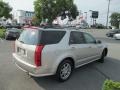 Light Platinum - SRX V6 Photo No. 6
