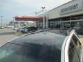 Light Platinum - SRX V6 Photo No. 10