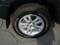 Black Pearl Slate Metallic - Explorer Sport Trac XLT 4x4 Photo No. 22