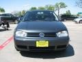 Blue Anthracite Metallic - Golf GL 4 Door Photo No. 8