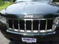Black Forest Green Pearl - Grand Cherokee Laredo X Package 4x4 Photo No. 16