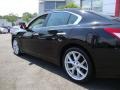 Super Black - Maxima 3.5 SV Photo No. 4