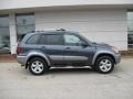 Flint Mica - RAV4 4WD Photo No. 6