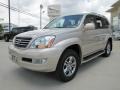 Savannah Beige Metallic - GX 470 Photo No. 5