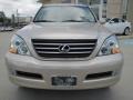 Savannah Beige Metallic - GX 470 Photo No. 6