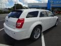 Stone White - Magnum R/T Photo No. 9