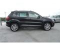 Deep Black Metallic 2013 Volkswagen Tiguan SE Exterior