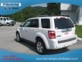 2009 White Suede Ford Escape Limited V6 4WD  photo #8