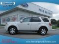 2009 White Suede Ford Escape Limited 4WD  photo #1