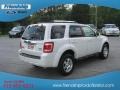 2009 White Suede Ford Escape Limited 4WD  photo #6