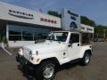 2001 Stone White Jeep Wrangler Sahara 4x4  photo #1