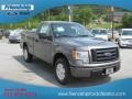 Sterling Gray Metallic - F150 STX Regular Cab Photo No. 4