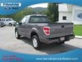 Sterling Gray Metallic - F150 STX Regular Cab Photo No. 8