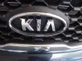 Baltic Blue - Sorento LX Photo No. 21