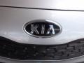 2013 Bright Silver Kia Rio LX Sedan  photo #21