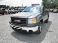 2013 Steel Gray Metallic GMC Sierra 1500 Regular Cab  photo #3