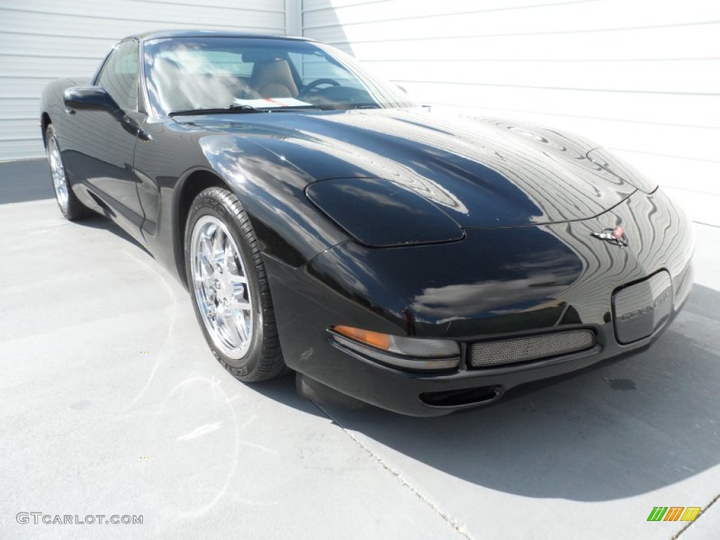 2001 Corvette Coupe - Black / Light Oak photo #1