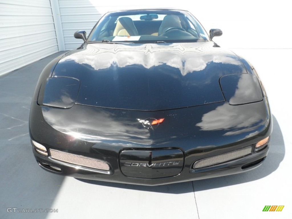 2001 Corvette Coupe - Black / Light Oak photo #7