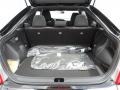  2013 tC  Trunk