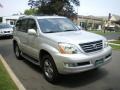 Titanium Silver Metallic - GX 470 Photo No. 3