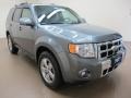 2010 Sterling Grey Metallic Ford Escape Limited V6  photo #1