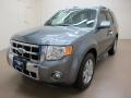 2010 Sterling Grey Metallic Ford Escape Limited V6  photo #4