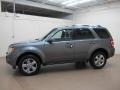 2010 Sterling Grey Metallic Ford Escape Limited V6  photo #5