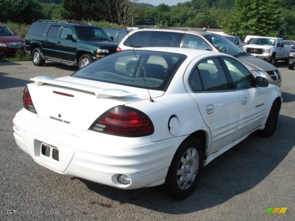 1999 Grand Am SE Sedan - Arctic White / Dark Pewter photo #6