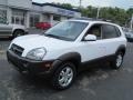 Nordic White - Tucson GLS V6 4x4 Photo No. 6