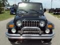 Patriot Blue Pearl - Wrangler Unlimited 4x4 Photo No. 15