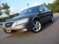 Willow Gray 2010 Hyundai Sonata SE