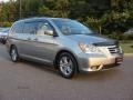 Nimbus Gray Metallic - Odyssey Touring Photo No. 5