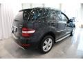 Black - ML 350 4Matic Photo No. 6