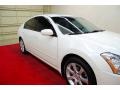 Winter Frost Pearl - Maxima 3.5 SE Photo No. 14